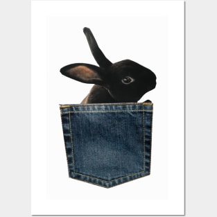 Black Bunny in Denim Pocket Posters and Art